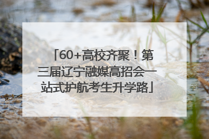 60+高校齐聚！第三届辽宁融媒高招会一站式护航考生升学路