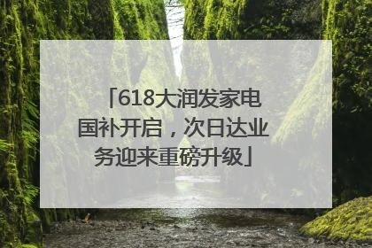 618大润发家电国补开启，次日达业务迎来重磅升级