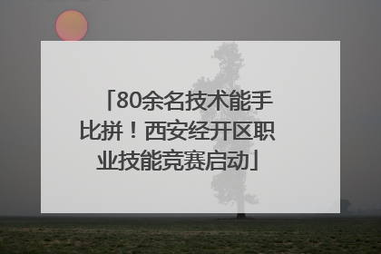 80余名技术能手比拼！西安经开区职业技能竞赛启动