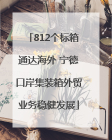 812个标箱通达海外 宁德口岸集装箱外贸业务稳健发展