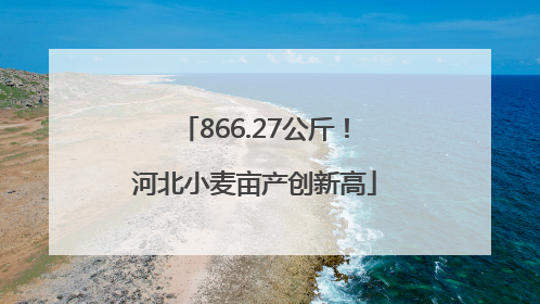 866.27公斤！河北小麦亩产创新高