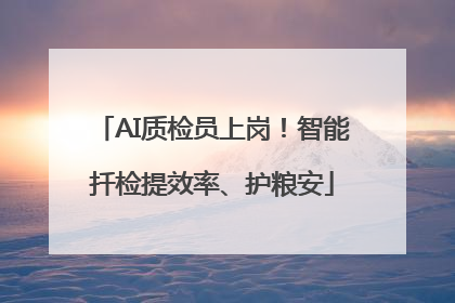 AI质检员上岗！智能扦检提效率、护粮安