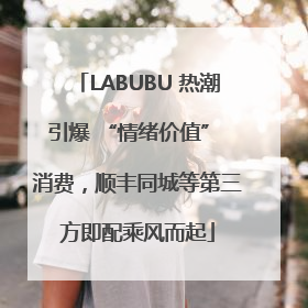 LABUBU 热潮引爆 “情绪价值” 消费，顺丰同城等第三方即配乘风而起