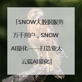 SNOW大数据服务万千用户，SNOW AI量化——打造亚太云端AI量化